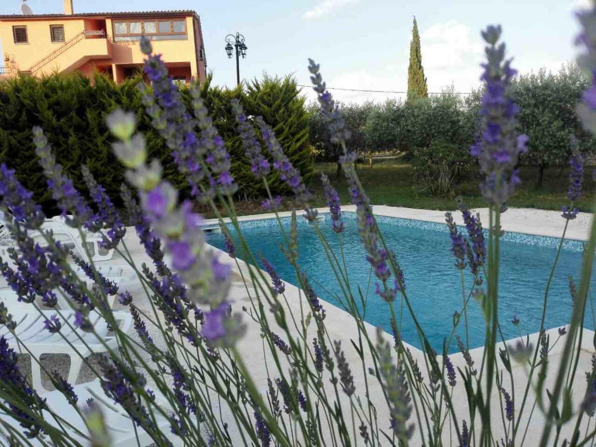 Apartment Rojnic Galižana Buitenkant foto